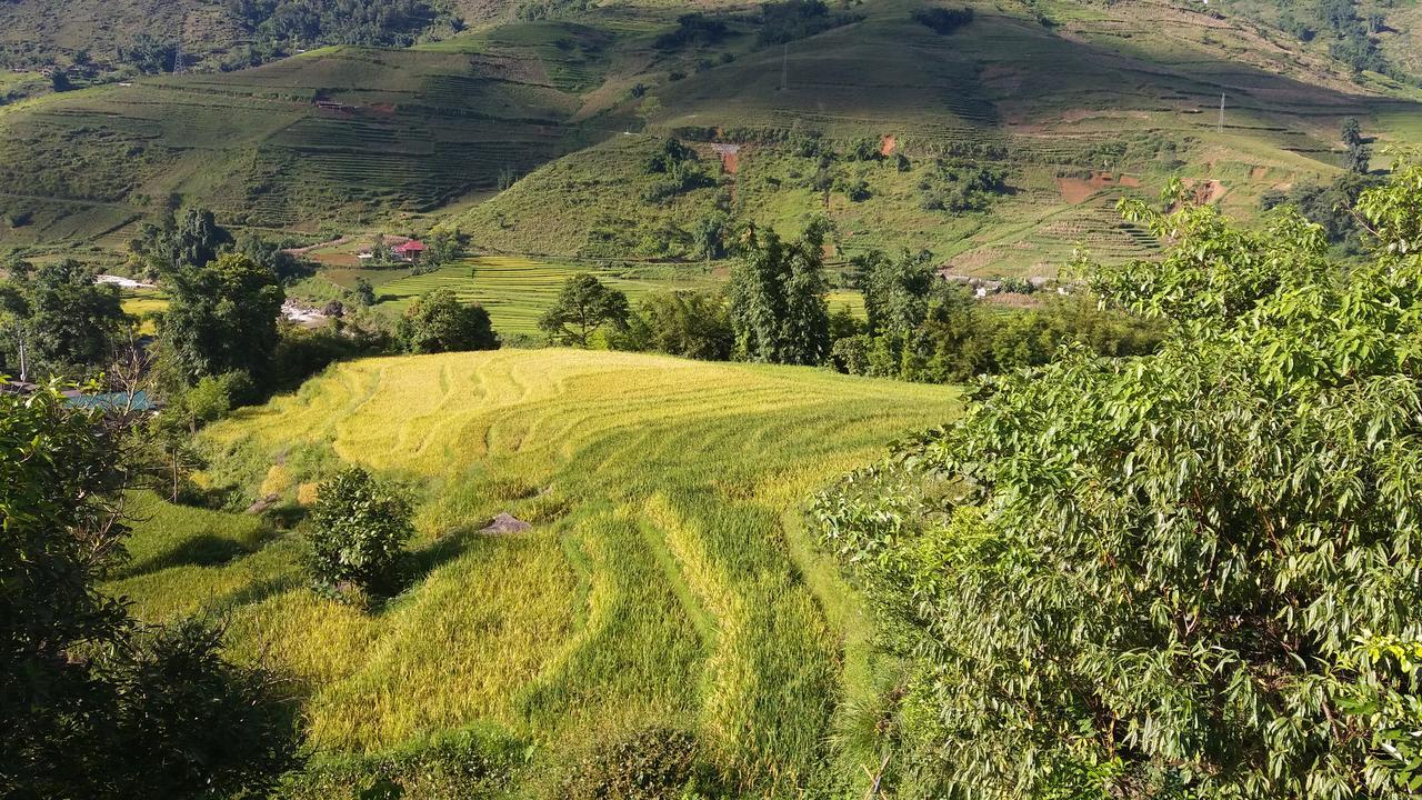 Ta Van Green Hills Homestay Sapa Exteriör bild