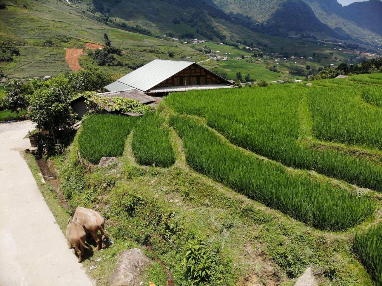 Ta Van Green Hills Homestay Sapa Exteriör bild