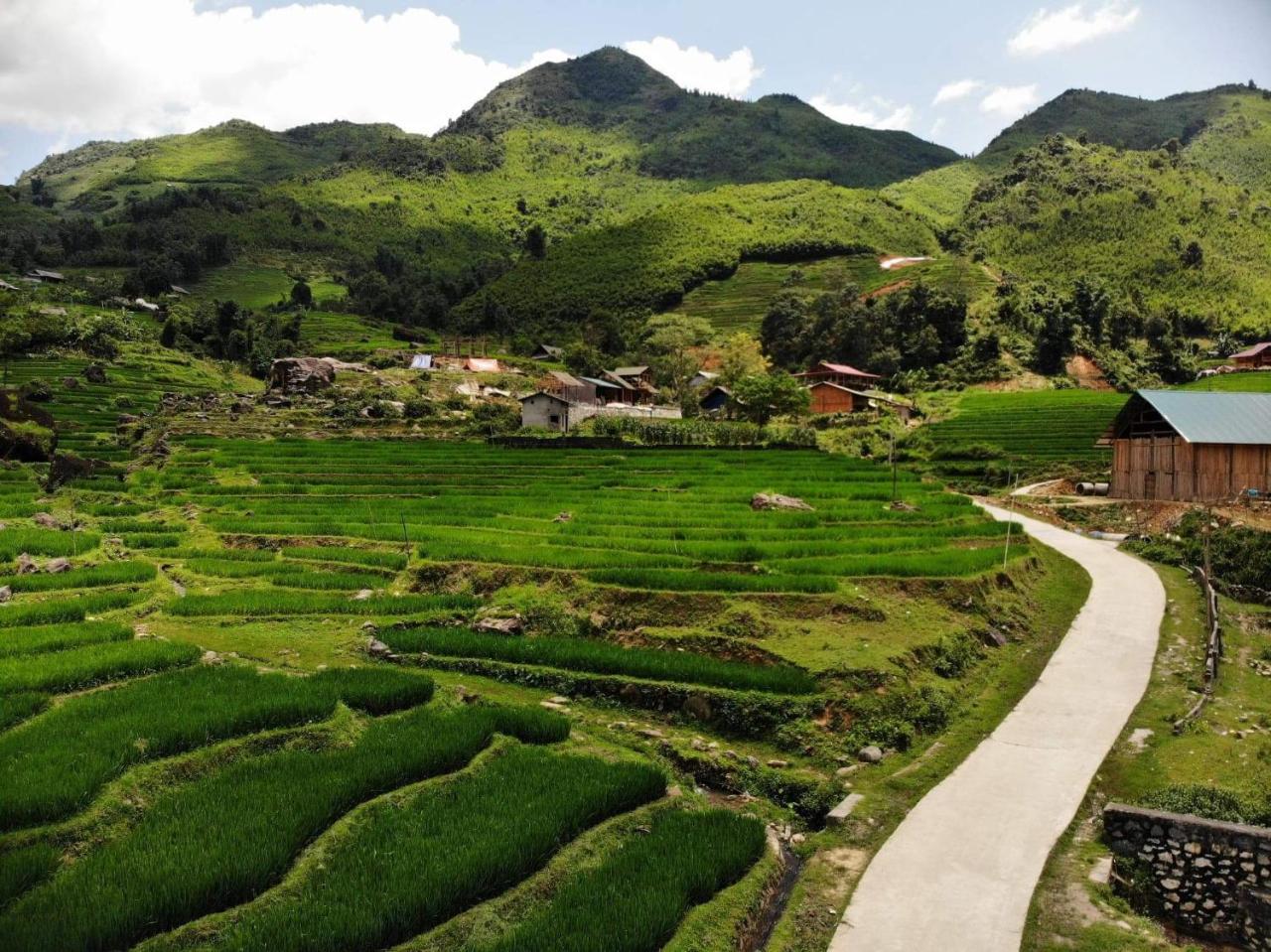 Ta Van Green Hills Homestay Sapa Exteriör bild